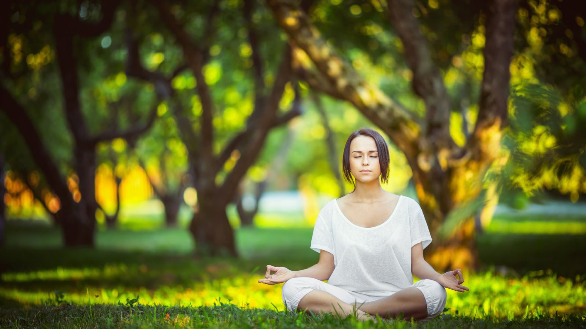九游正版入口-未来十年：联盟战略规划带来的变革，联盟的未来是属于你的