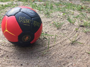 九游登录中心-“沙滩赛场燃爆天府新区，沙滩手球和合球上演极限对决”