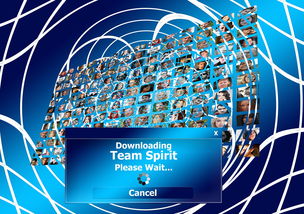 9游app-球迷盛典：现场氛围与体育精神的融合，球迷知识